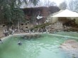 Zoo 2011 (367)